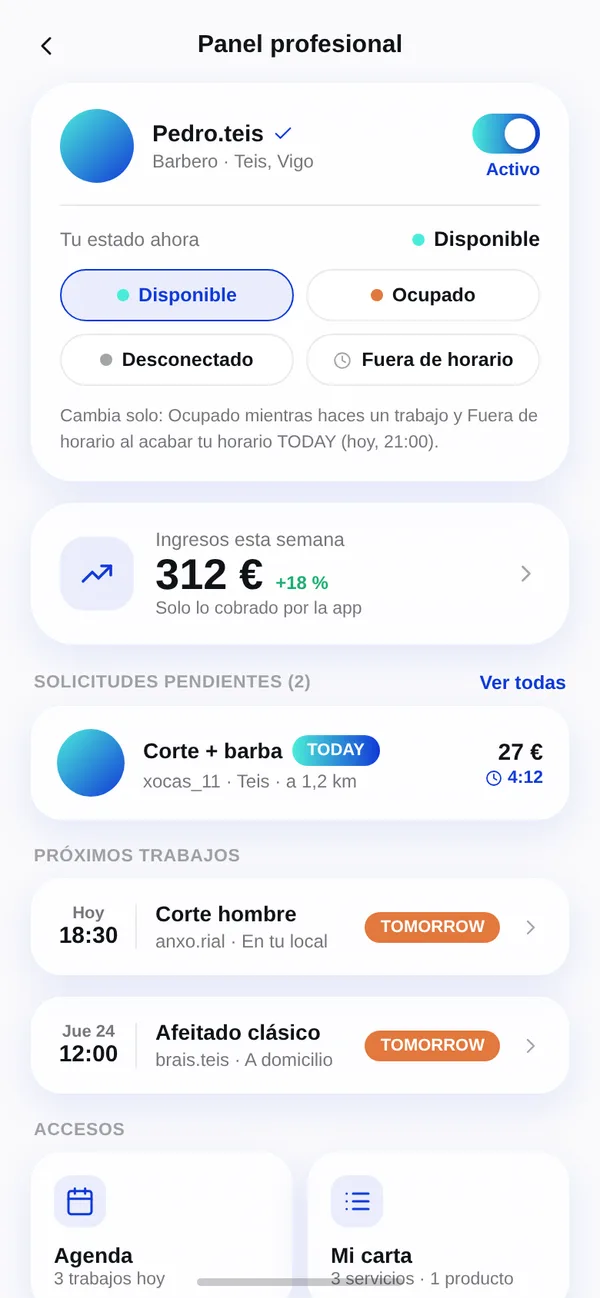 Panel del profesional en la app de Today